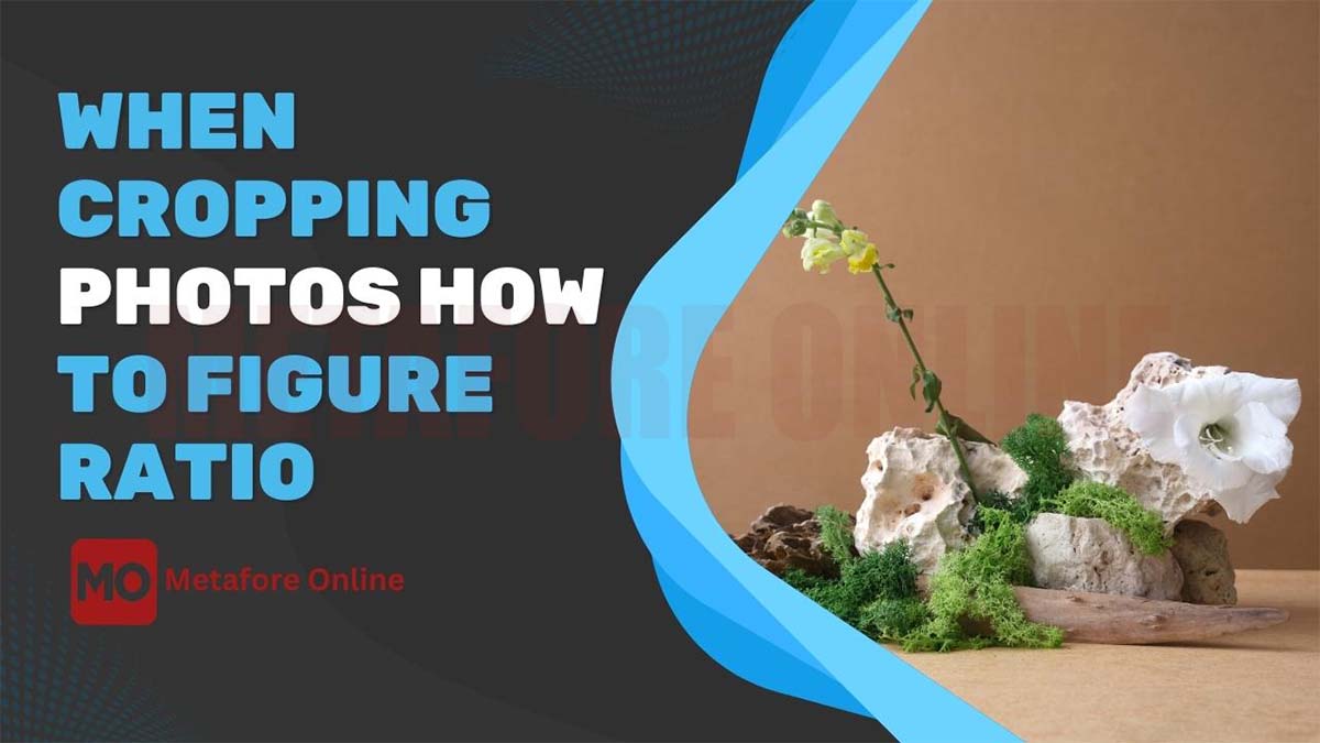 When Cropping Photos How to Figure Ratio | clipping path service